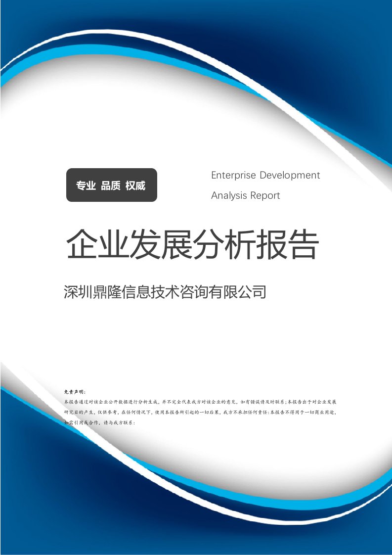 鼎隆信息技術(shù)咨詢 技術(shù)驅(qū)動(dòng)下的企業(yè)發(fā)展分析報(bào)告